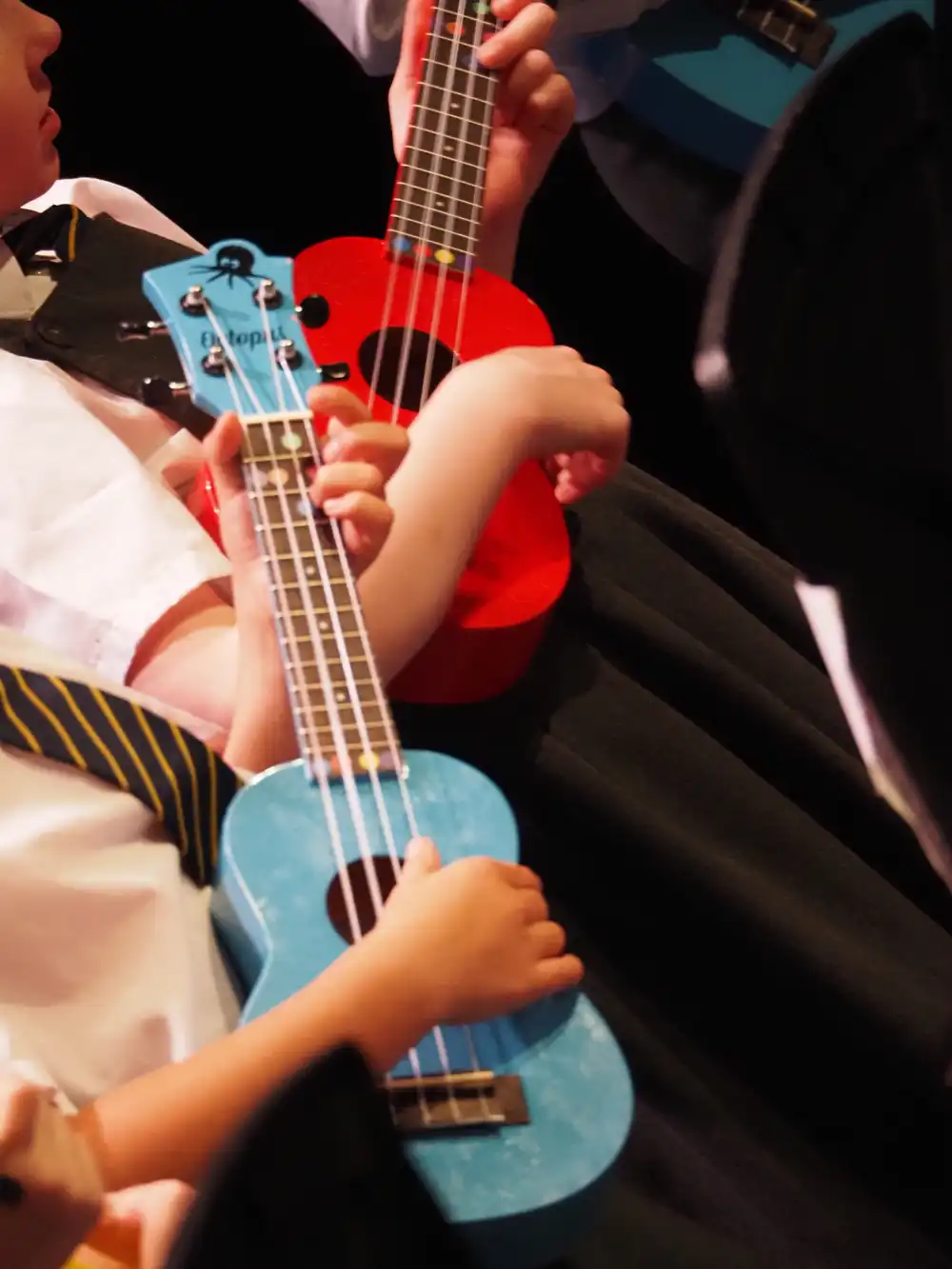 This is the product image for Classroom Instrument Scheme