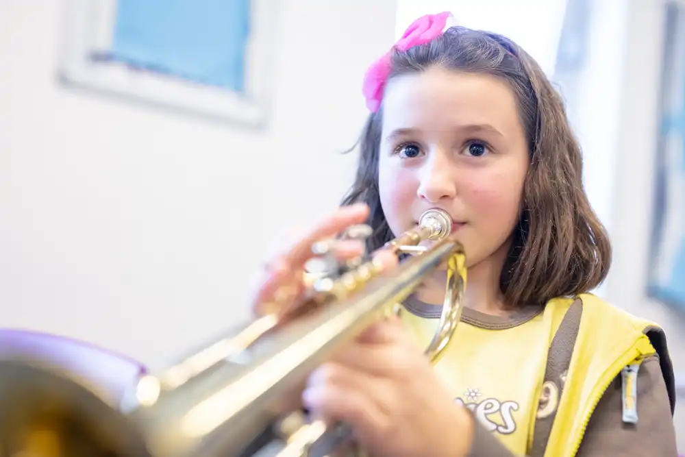 This is the product image for 11 Week Home Educated Pilot Project (Brass)